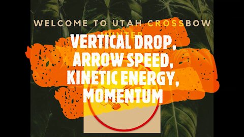 VERTICAL DROP, ARROW SPEED, KINETIC ENERGY, MOMENTUM