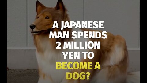 A Japanese man spends 2 Million Yen to become a dog