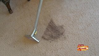 Get 'Back To Clean' With A Carpet Cleaning Special