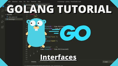 Golang Tutorial #22 - Interfaces