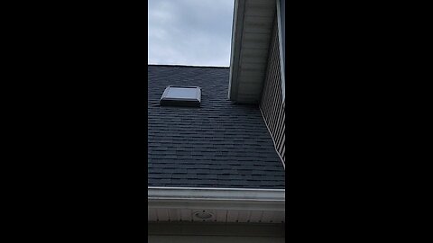 bats in soffit pt.1