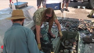 Florida Fish and Wildlife Commission weigh up SWFL's invasive species issue