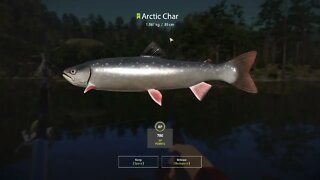 Russian Fishing 4 Kuori lake Arctic Char 1.561 Kg