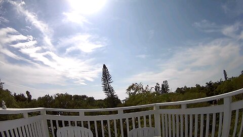 Siesta Key view