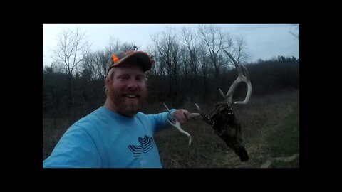 Trout fishing in the BLUFFS! CREEK Trout! | Wisconsin Trout Fishing