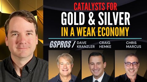 Catalysts For Gold and Silver in a Weak Economy w/ Dave Kranzler, Craig Hemke, Chris Marcus