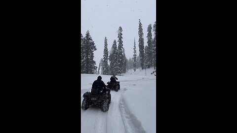 KASHMIR GULMARG