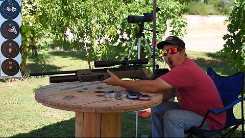 Umarex Gauntlet Gen 2 - Pellet VS Optics At 20 Yards!