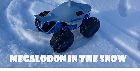 Testing Megalodon in the Snow