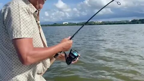 Perfect setup to catch a Tarpon in Florida.