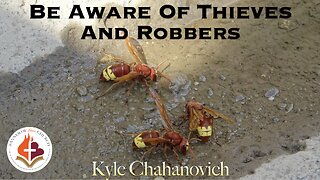 Be Aware Of Thieves And Robbers - Kyle Chahanovich August 25th, 2024