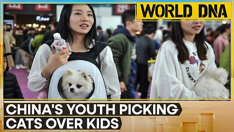 China's birth rate drop as pet ownership rises; pets to outnumber children by 2030 | World DNA