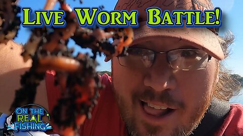 Live Worm Bank Fishing Battle Versus SJO!