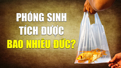 Phóng sinh: Là phước hay tội? | Tinh Hoa TV