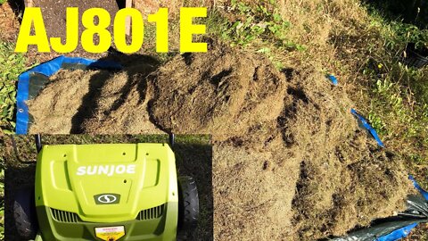 Sun Joe AJ801E Removing dead grass debris from the lawn.