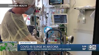 COVID-19 Surge in Arizona