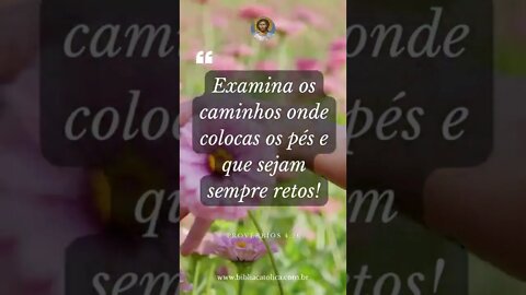 Provérbios 4,26 - Examina os caminhos onde colocas os pés e que sejam sempre retos!