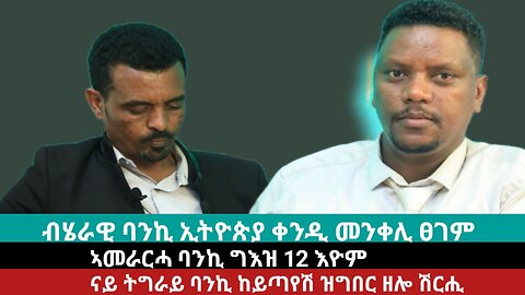 ናይ ትግራይ ባንኪ ከይጣየሽ ዝግበር ዘሎ ሽርሒ እዩ - ኣብርሃ ሃይለማርያም