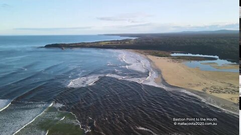 Bastion Point Boat Ramp to the Mallacoota Mouth and back