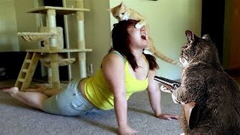 Funny Dog And Cat 😍🐶😻 Funniest Animals