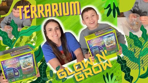 How to grow a plant? Terrarium grow n' glow!