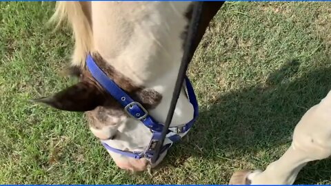 6 of 7 - Answering Questions for Lester With The Pink Pad Riding Vodoo/Pressure & Release