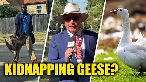 Haitians allegedly capturing wild geese in Springfield, Ohio