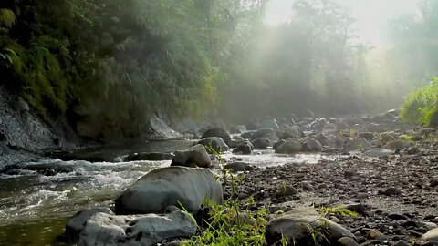 Morning rain over a rocky river with rays of sunshine