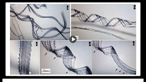 Recent Study Shows Self-Assembly Nanobots in the COVID-19 Injectables