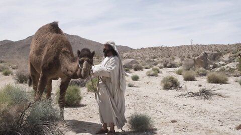 Doubting Thomas - In His Own Words - The Desert Collection