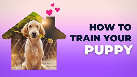 Brain Training for Dogs - Turn Your Dog into a Genius!