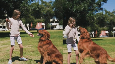 A little girl enjoy her dog