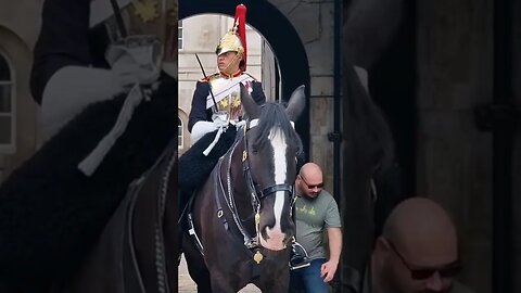 stupid man tourist Walks through the box #horseguardsparade