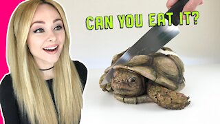 Making a Hyperrealistic Tortoise CAKE