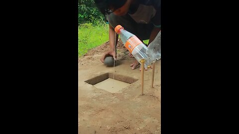 The Best Underground Quail Trap using Cardboard and plastic Bottle #Short Drytrap