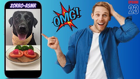 🐶 Zorro, Please Have Some Self-Respect! No Need to Fake It Now! 😂 #Dog #ASMR #Food #Shorts #Foods