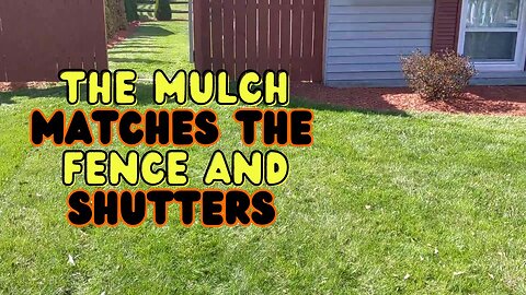 Spring Cleanup Mulch and Mow | First one of 2022