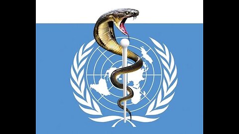 Perils of The WHO Pandemic Treaty- With James Roguski & Robert Morningstar Part 1 June 16 2024