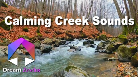 5 Hours of Calming Creek Sounds