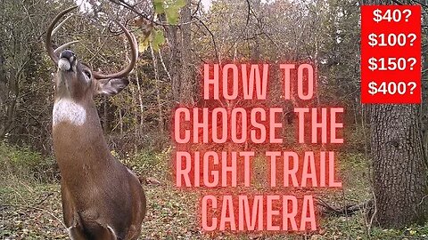 HOW TO Choose the best trail camera for your needs and budget