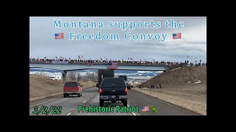 3/2/22 Montana Patriots supporting the Freedom Convoy 🇺🇸