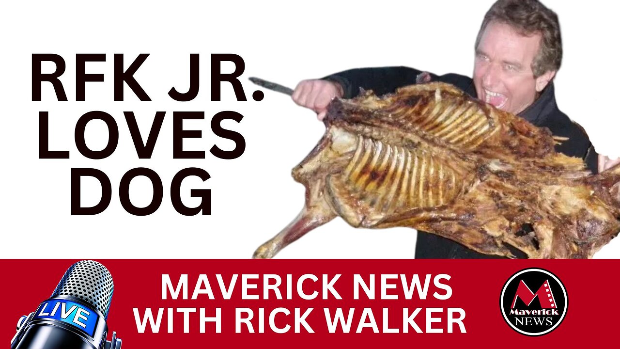 RFK Jr. Vanity Fair Dog Article Damages Campaign | Maverick News With ...