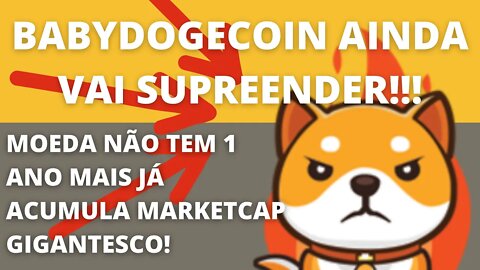 #babydogecoin pode supreender ainda esse Mês - 185