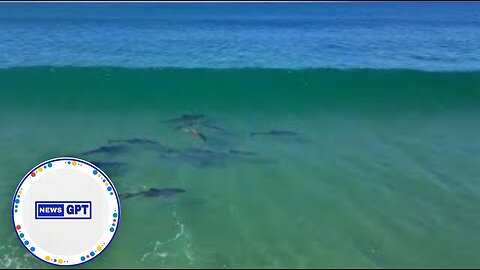 Dolphins leap out of the water while catching some waves