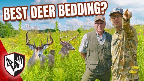 Is This The Best Deer Bedding?