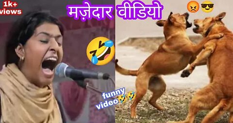 NOORAN SISTERS FUNNY VIDEO