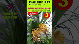 CHALLENGE # 27 |WHATS IS NAME OF THIS ORCHIDS?|YOU WANT TO LEARN? |# SHORT