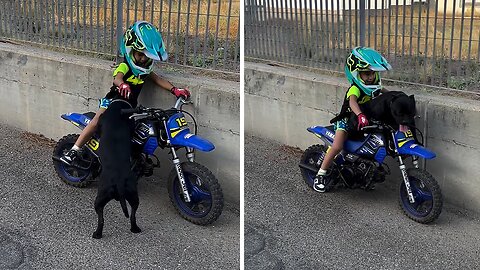 Adventurous kid goes on a fun bike ride with his doggy