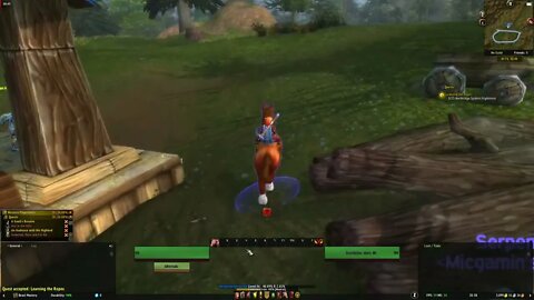 Learning the Ropes WoW MMORPG Quest Guide