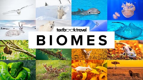 11 Types of Biomes and Their Animals (with Maps)